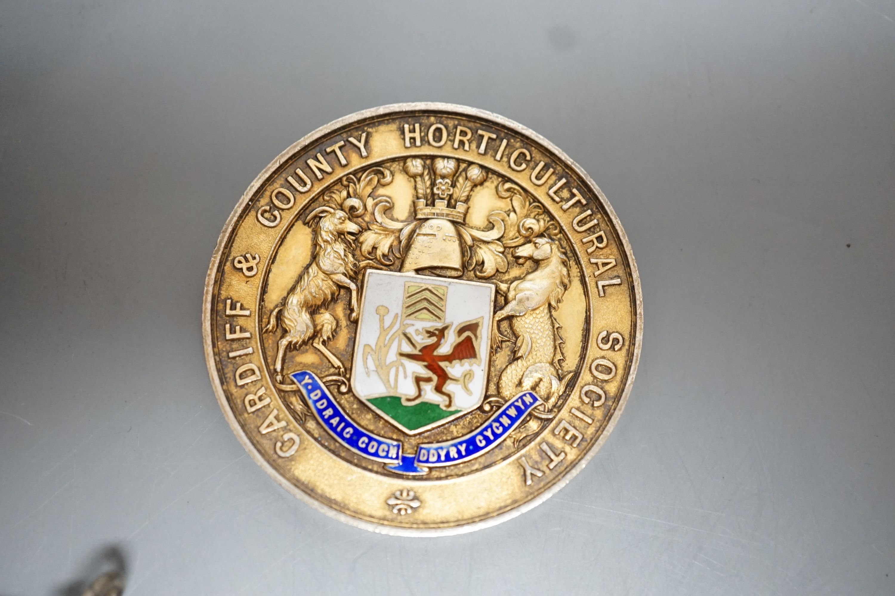 A George V silver cup holder, Birmingham, 1918, a silver and enamel Cardiff & County Horticultural Society medallion and a silver and enamel compact(a.f.)